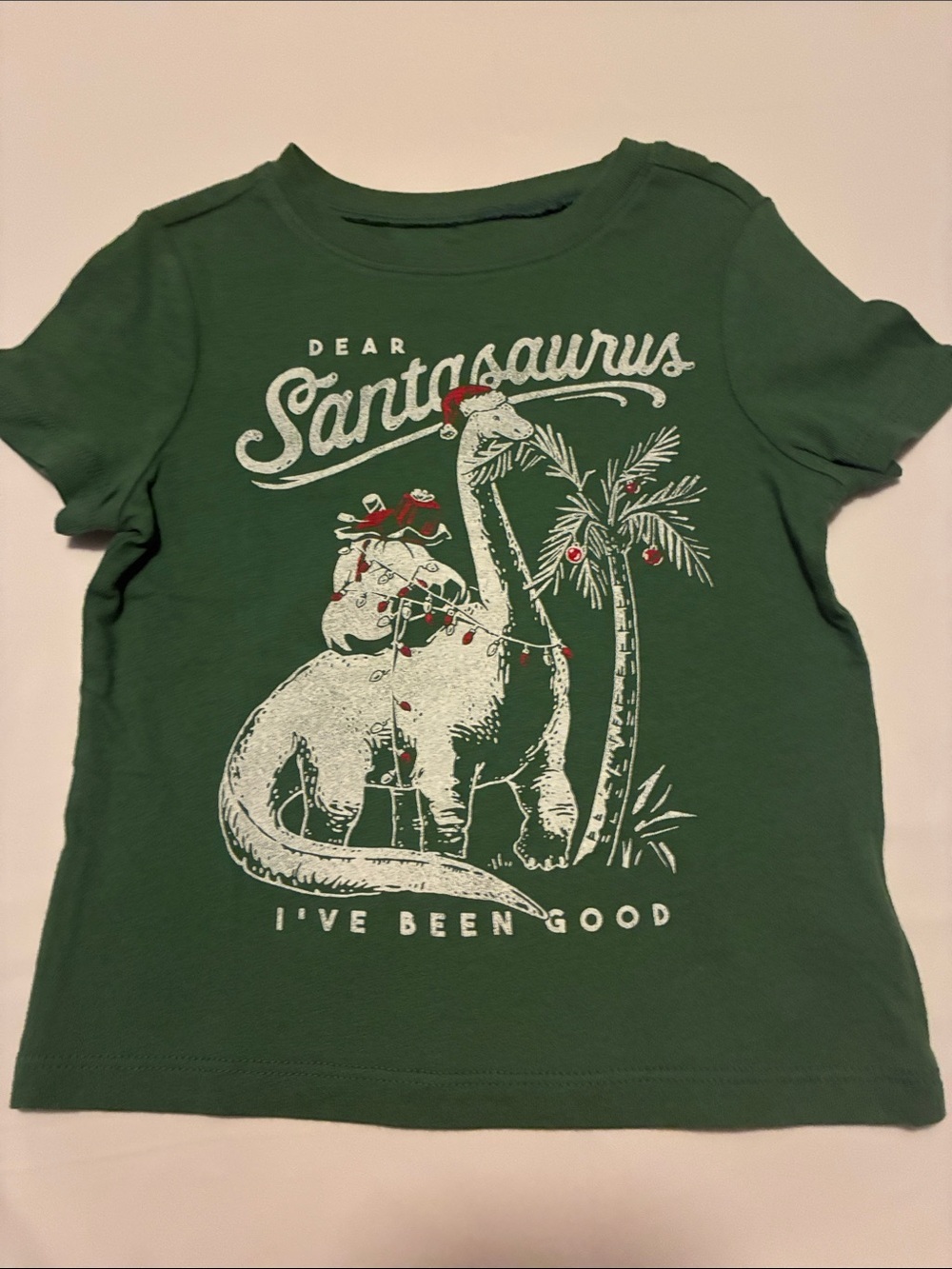 Source Unknown Green 'Santasaurus' Holiday Graphic Tee
